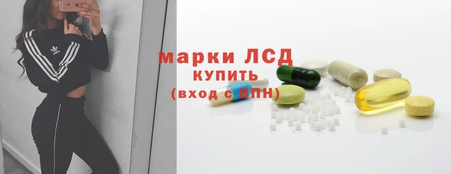 ALPHA PVP Чердынь