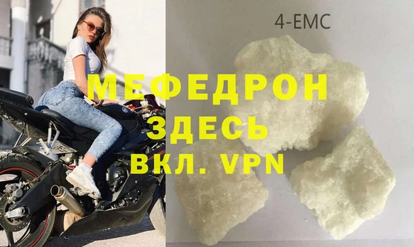 ГАЛЛЮЦИНОГЕННЫЕ ГРИБЫ Дмитриев