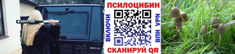 Псилоцибиновые грибы MAGIC MUSHROOMS  Красновишерск 